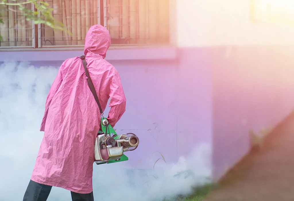 Get your surroundings fumigated regularly.