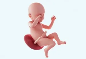 Your Baby's Growth During Pregnancy - Week 39