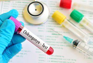 Diagnosis of Chikungunya