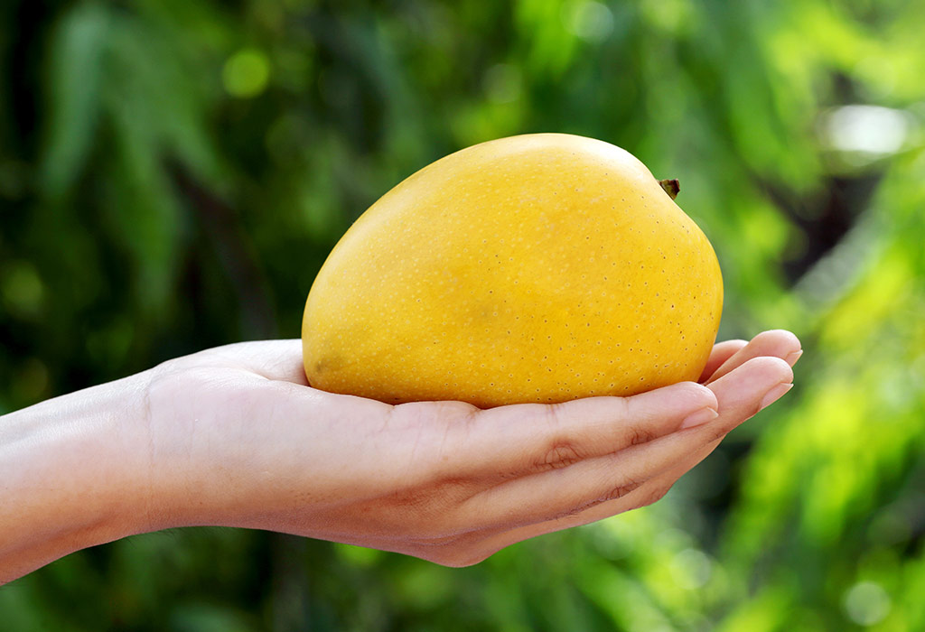 Consuming Mango while Pregnant Benefits, Side Effects & more
