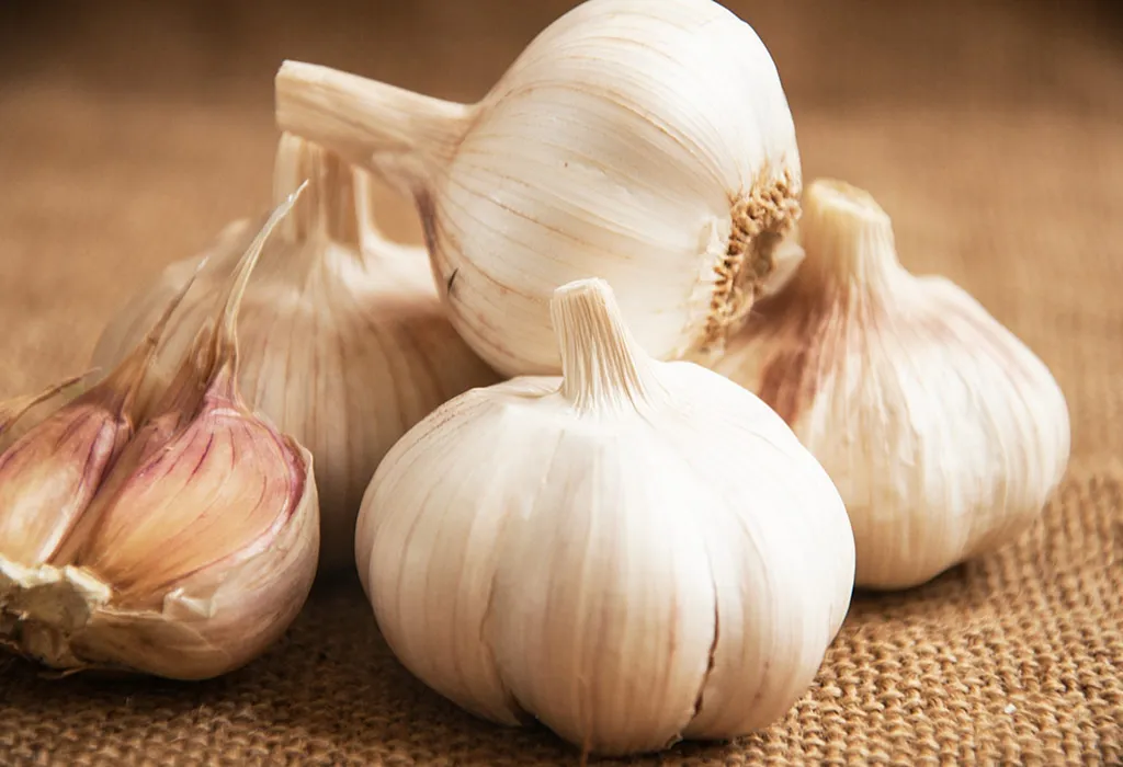 Garlic