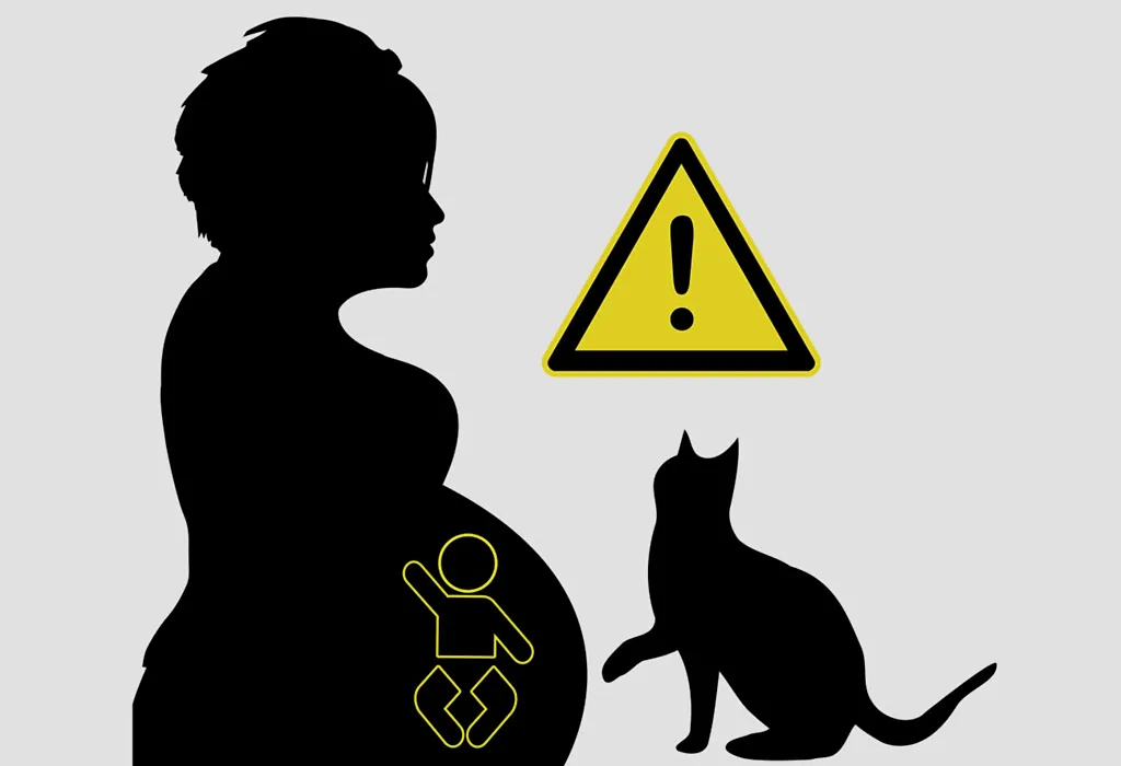 Infections Transmitted By Animals