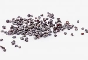 Week 4 baby size- Poppy Seeds