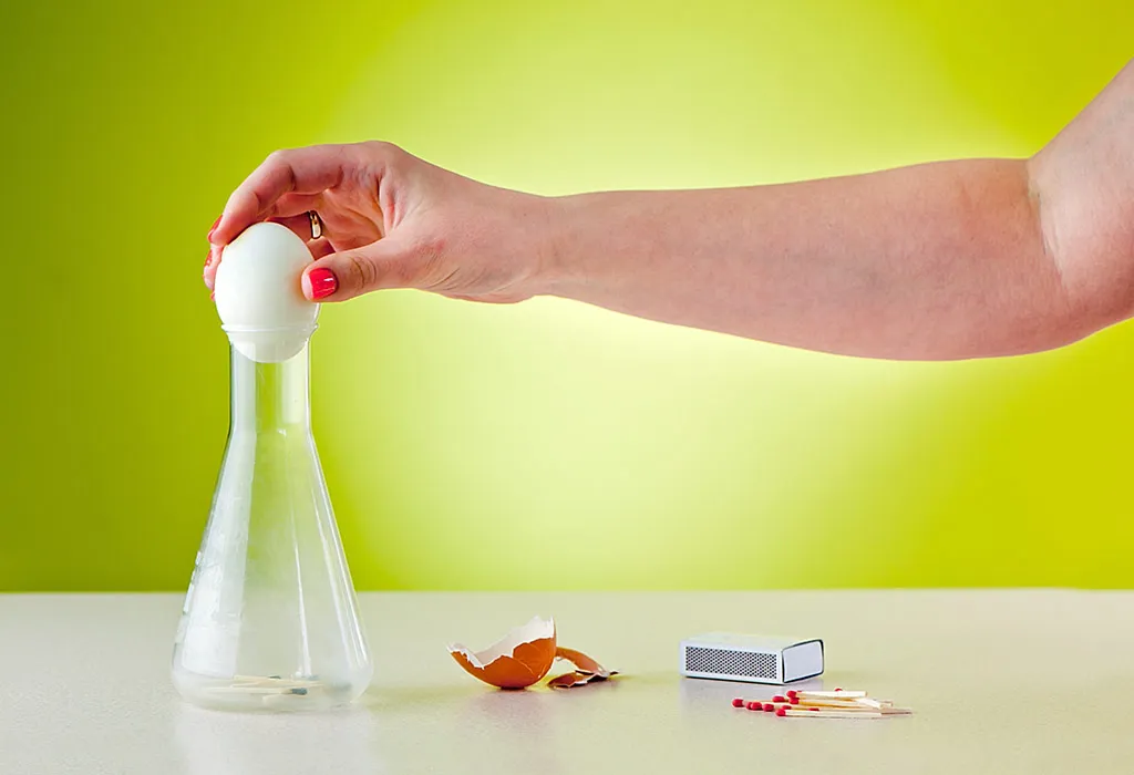 Egg experiment