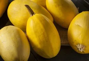 Week 22 baby size- squash