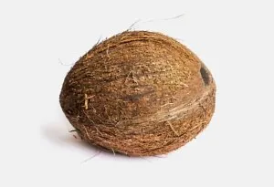Week 31 baby size- large coconut