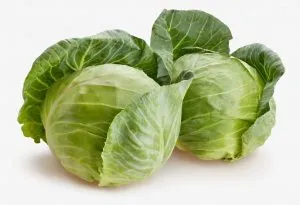 Week 30 baby size- large cabbage