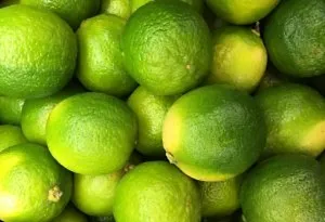 Week 12 baby size- lime