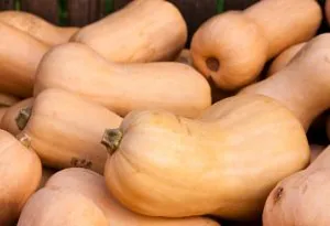 Week 29 baby size- butternut squah