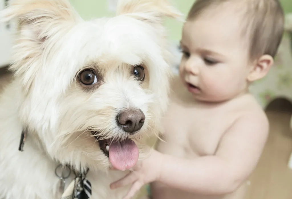 Causes of ringworm in babies