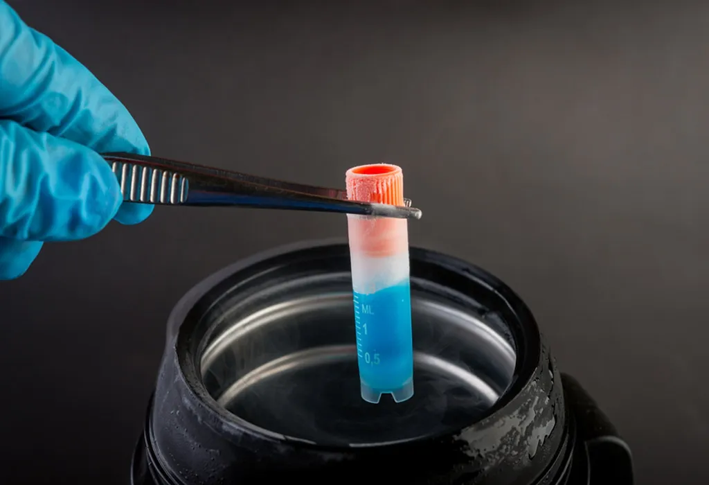 How Many Eggs Should be Stored for Achieving Pregnancy? How Many Eggs Should be Stored for Achieving Pregnancy?