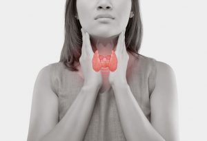 Woman showing the position of the thyroid gland