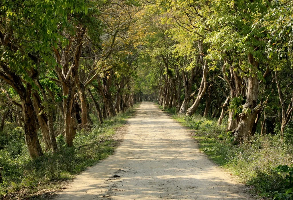 Guwahati