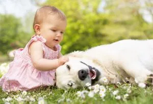 Baby girl in a field, playing with her pet dog