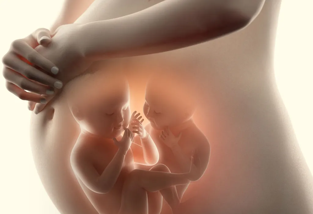 Image of twins inside a mother's womb