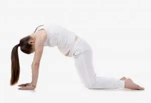Woman doing cat-cow exercise