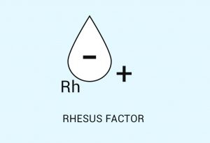 What Is Rh Factor in Blood?