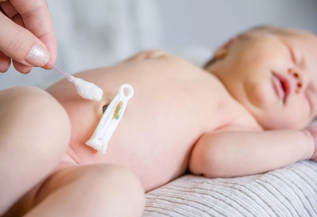 Umbilical Cord
