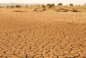 El Nino effect drought
