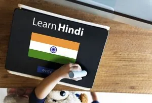 भारत में हिंदी भाषा का महत्व