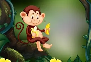 monkey eating bananas
