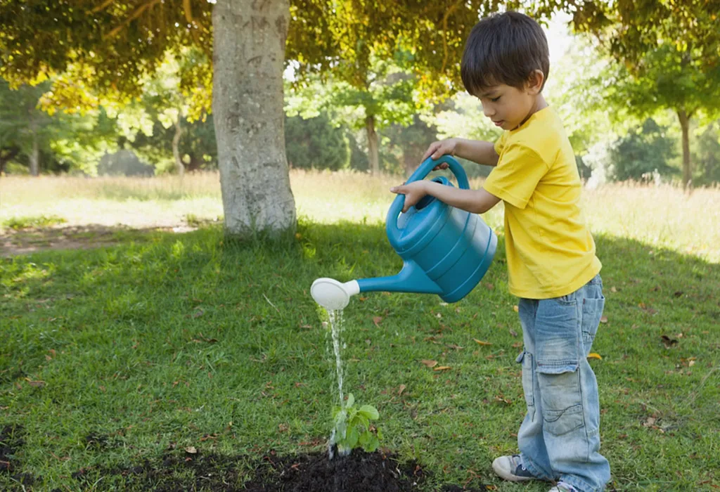 WATERING THE PLANTS