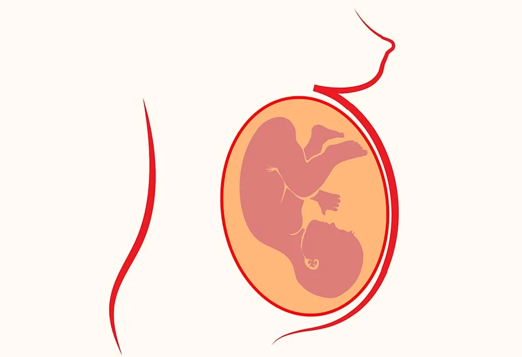 Occipito-Posterior Position