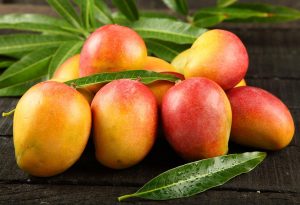 How to Choose and Store Mangoes