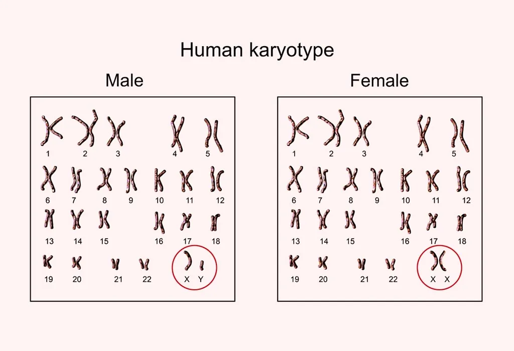 SEX OF THE BABY