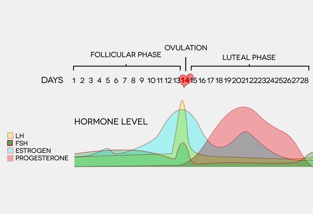 Changes in hormonal levels during luteal phase