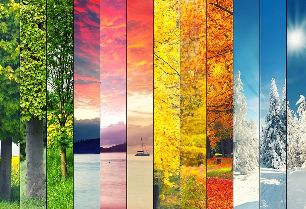 COLOURFUL SEASONS COLLAGE