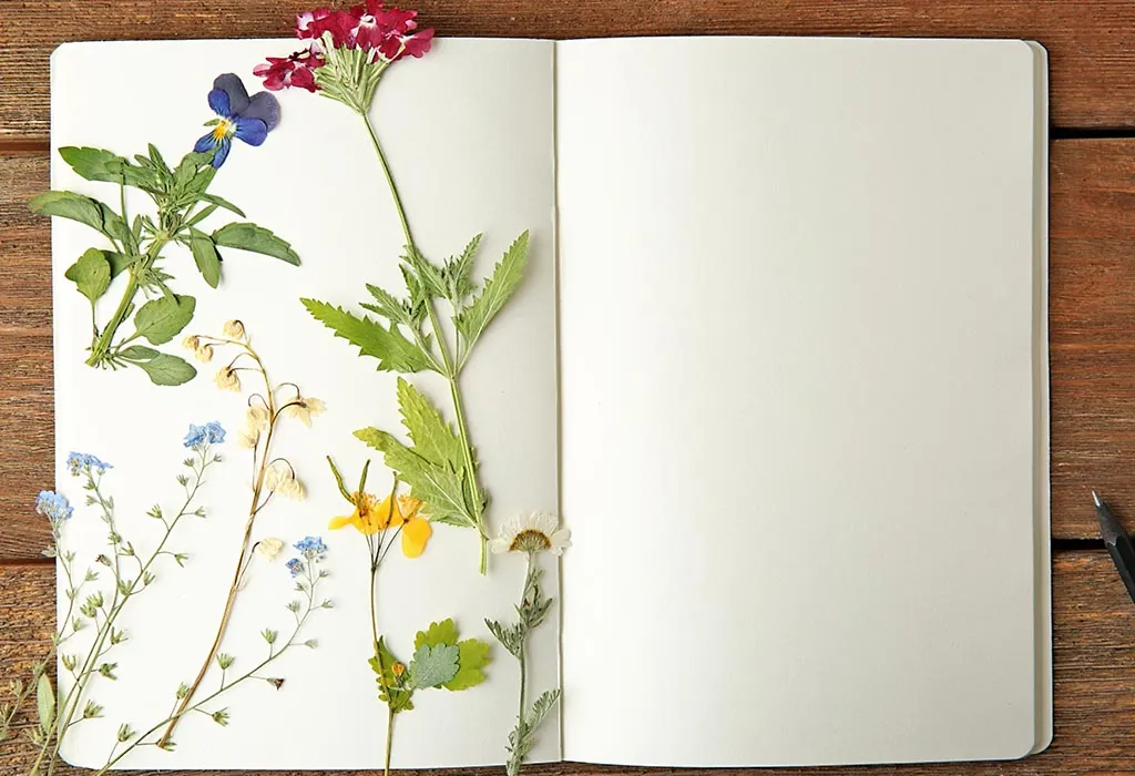 Pressed Flower Cards