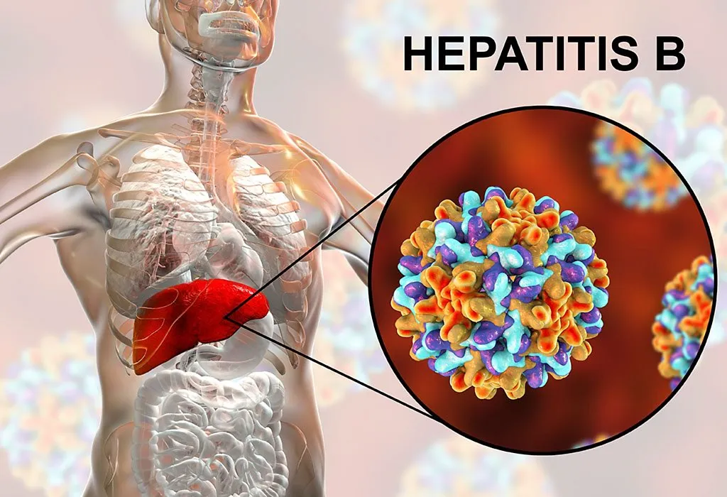 Hepatitis B virus