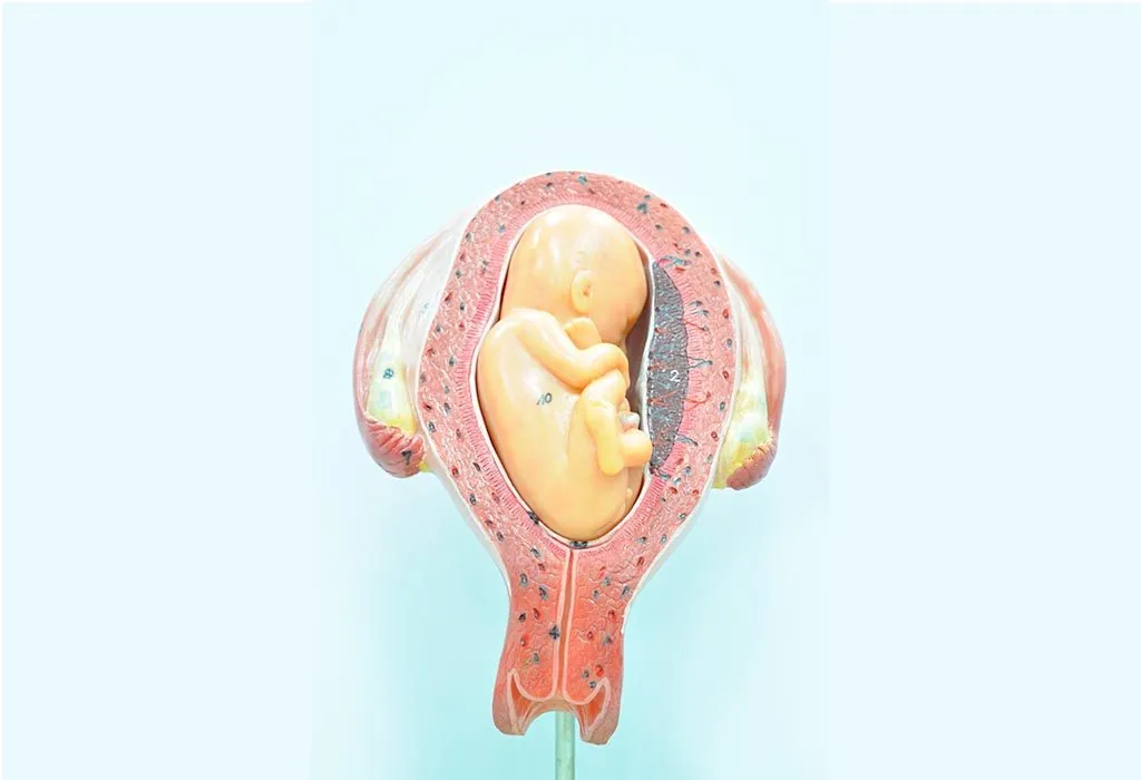 Foetus in the breech position