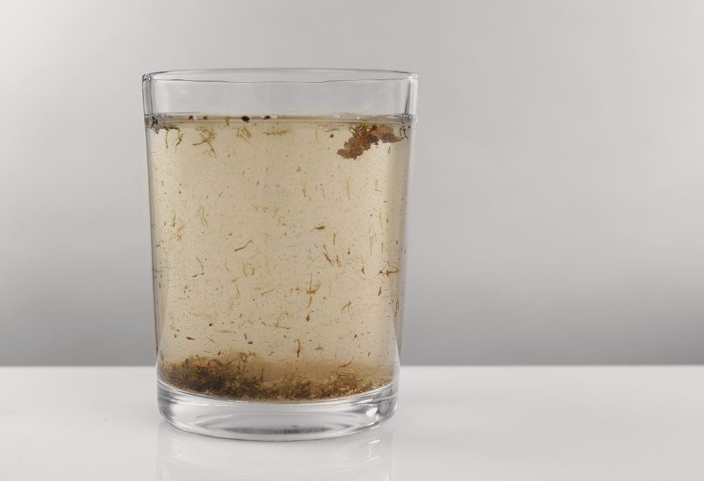 Contaminated water - a source of E. coli
