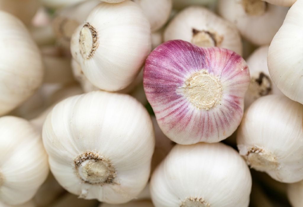 Garlic for Backaches