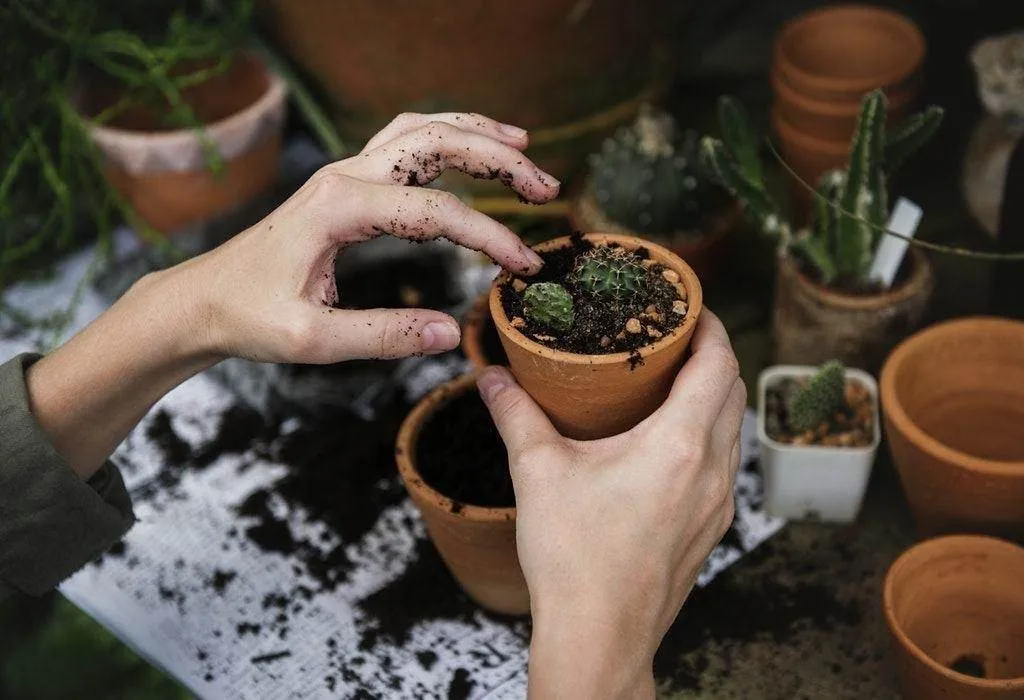 Gardening