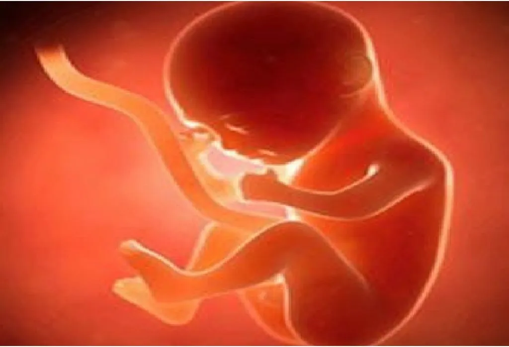 Month 5