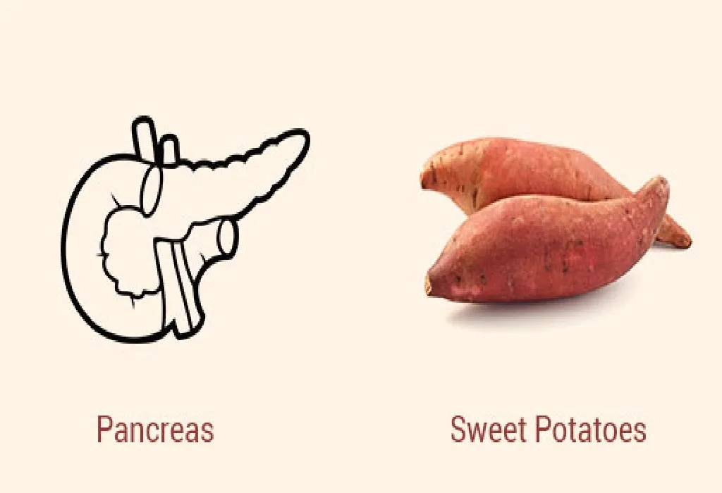 Sweet Potatoes and Pancreas