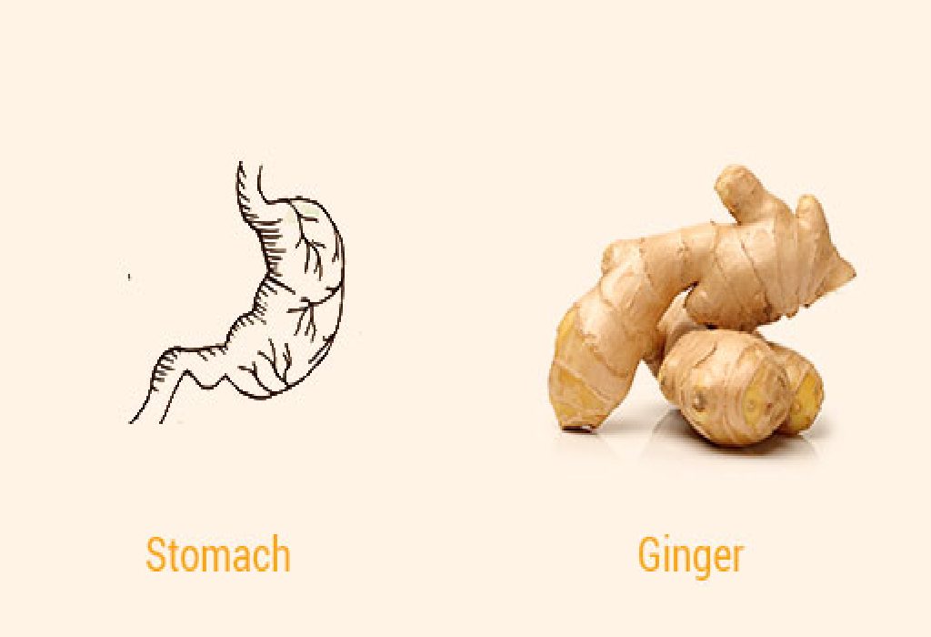 Ginger and Stomach