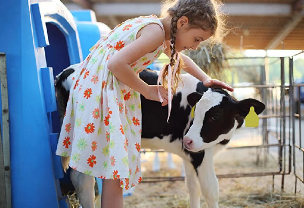 visit a Farm