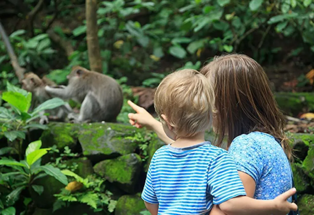Visit a Zoo