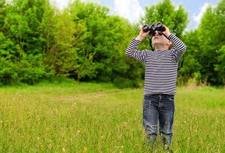Bird Watching