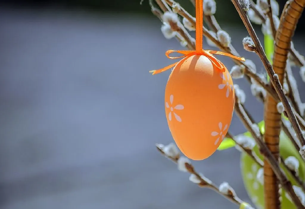 Pressed Flower