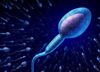 ইনট্রাউটেরাইন ইনসেমিনেশন (আইইউআই) প্রজনন চিকিত্সা প্রক্রিয়া