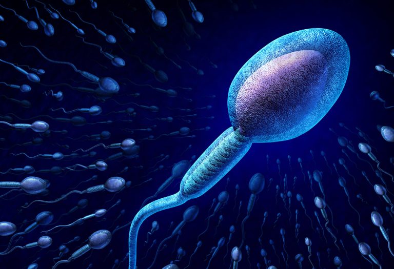 Intrauterine Insemination (IUI) Process for Infertility Treatment