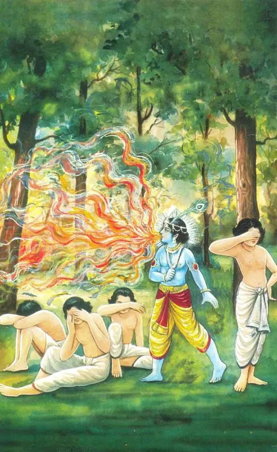 Krishna and the Forest Fire