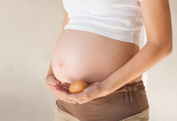 Eating Eggs During Pregnancy