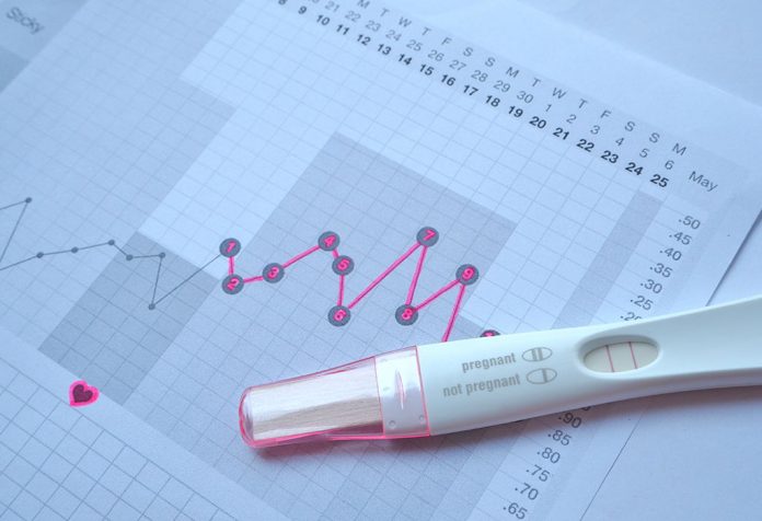 Basal Body Temperature Chart Positive Pregnancy