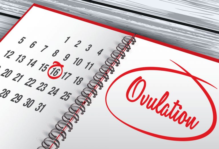 Ovulation - Know the Common Signs and Symptoms